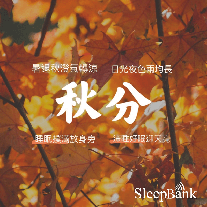 秋分養生怎麼做？保健好睡這樣做！